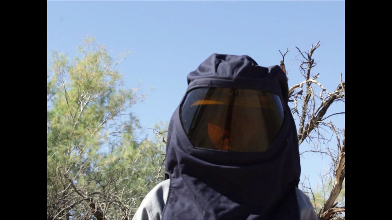 Ryley Walker - "Sweet Satisfaction" (Official Video)