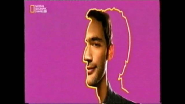 Cerebro visual: Hemisferios cerebrales