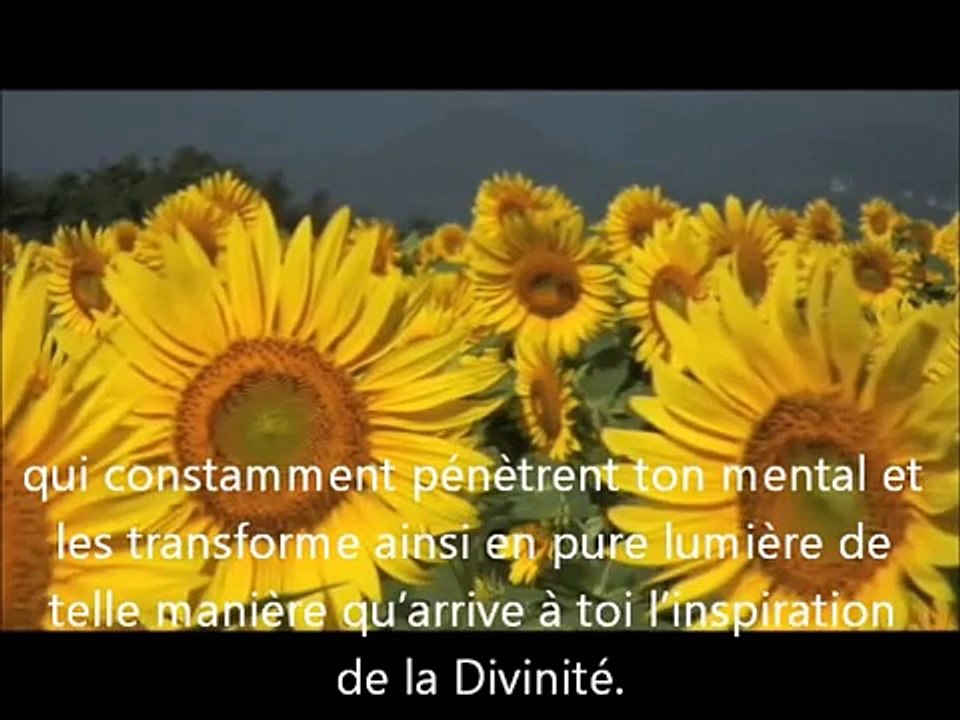 Méditation 4 paroles qui guérissent
