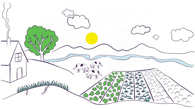 Comprendre l'Agroécologie et l'AEI avec la Chambre Régionale d'Agriculture des Pays de la Loire