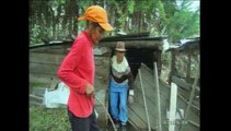 Viviendas y cultivos son afectados por las fuertes lluvias en Ambato