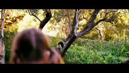 Squirrels Teaser Trailer (2014) - Squirrel Horror Movie
