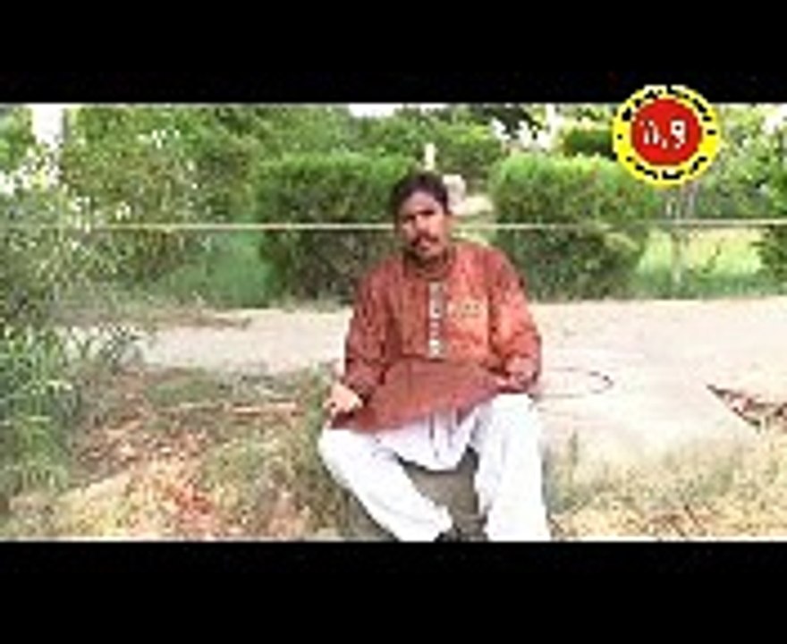 sim tlnr de by zulfiqar zulfi layyah