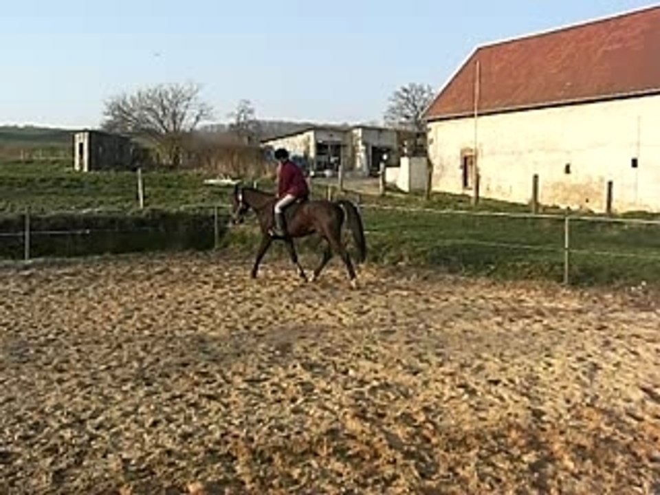CIMG0468