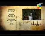 Diyar-e-Dil -Episode 4 Promo 31 March 2015 Drama By Hum Tv