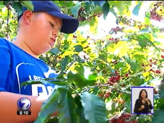 Café pierde terreno ante auge de condominios y residenciales