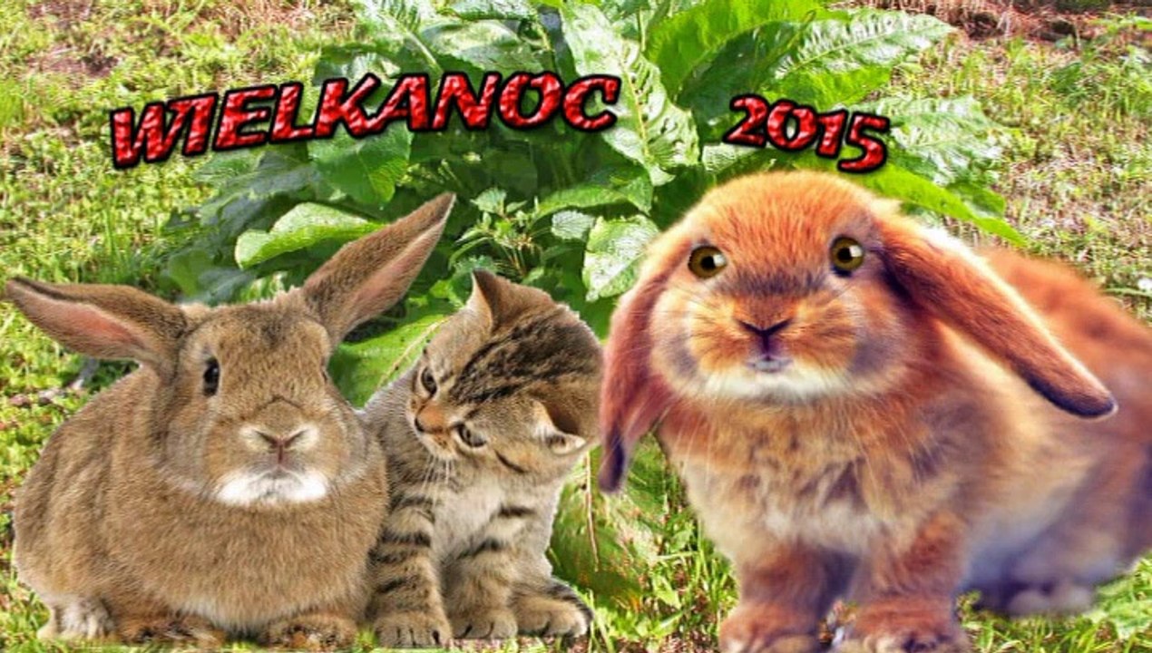 Życzenia Wielkanoc 2015