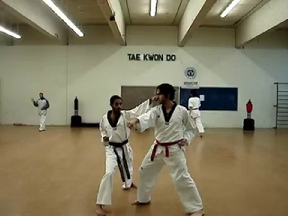 KFUPM Taekwondo One Step Sparring 110 video Dailymotion