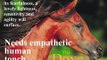 Hempfling - Horse-Characters 1 - All Riders Horsemanship Basics