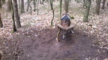 Un mouflon coincé dans un arbre sauvé par un joggeur