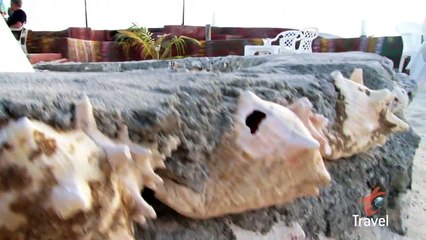 Anthony Bourdain: Happy Island