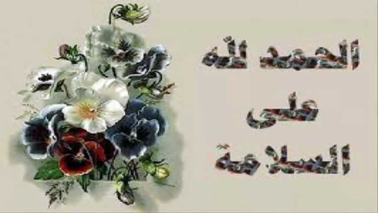 سلامات يا بي كولا