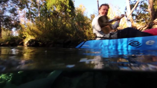 Natural Springs Offer a Unique Encounter With Manatees