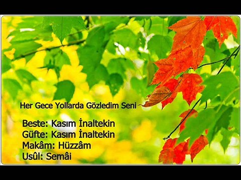 Eray Özkardaş - Her Gece Yollarda Gözledim Seni