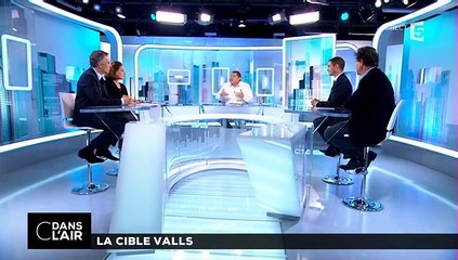 C dans l'air France 5 EELV au gouvernement ?