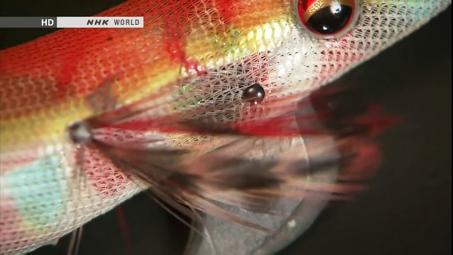 How to eat Squid in Japan - Sushi Sashimi Tokyo Documentary