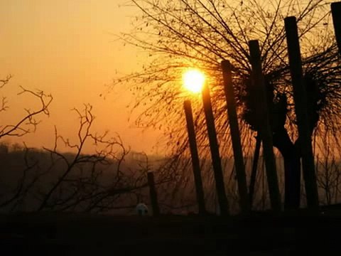 ANCORAdi Eduardo De Crescenzo