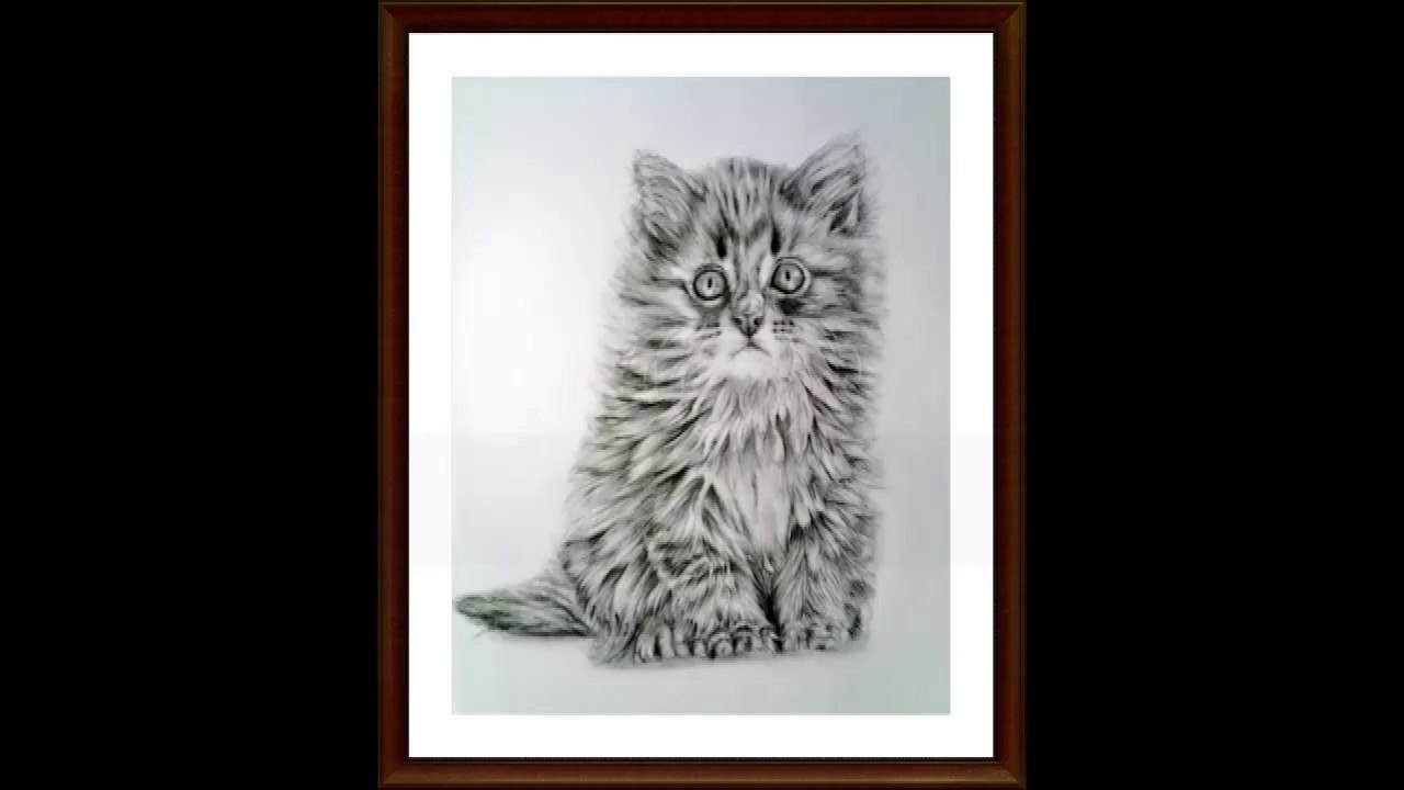 Learn How to Draw a Kitten Step by Step final video