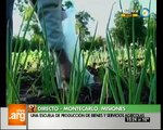 Vivo en Argentina - Misiones - Montecarlo - Escuela secundaria agrícola - 29-08-12