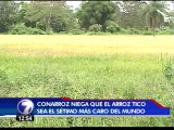 Arroceros niegan que el precio del grano en Costa Rica sea caro