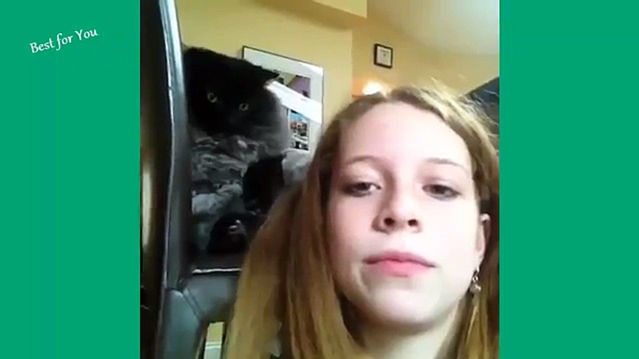 Funny Cats Compilation