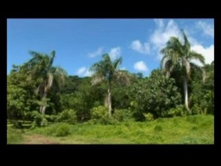 Les Marquises, de Gaugin à Brel