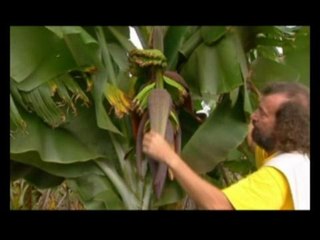 En balade aux Canaries