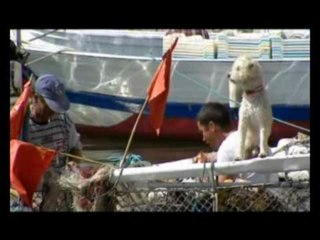 Les Baléares d'île en île