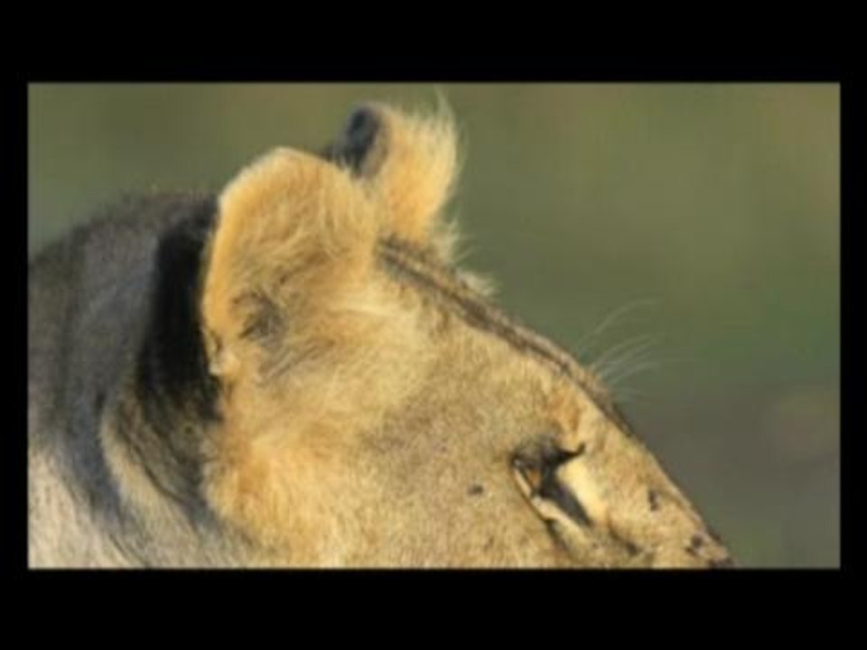 Les photographes de l'impossible