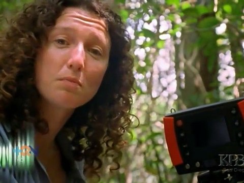 Un ave de nuestros bosques baila al mejor estilo de Michael Jackson