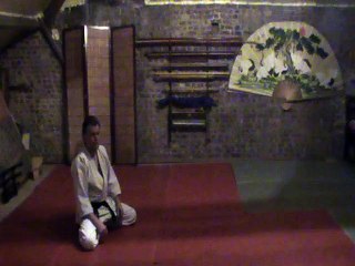 Suwari gedan mae kaeten ukemi