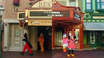 Disneyland Resort & Walt Disney World |  A Tale of Two Disney Parks