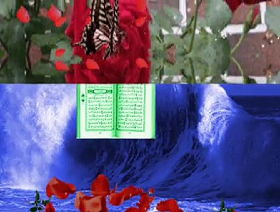 Yasin Suresi ;Dünyanın en güzel sesli Türkçe Meali.