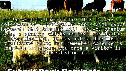 What To Consider And Methods In Building Your Own Adsense Sites Starting Now!