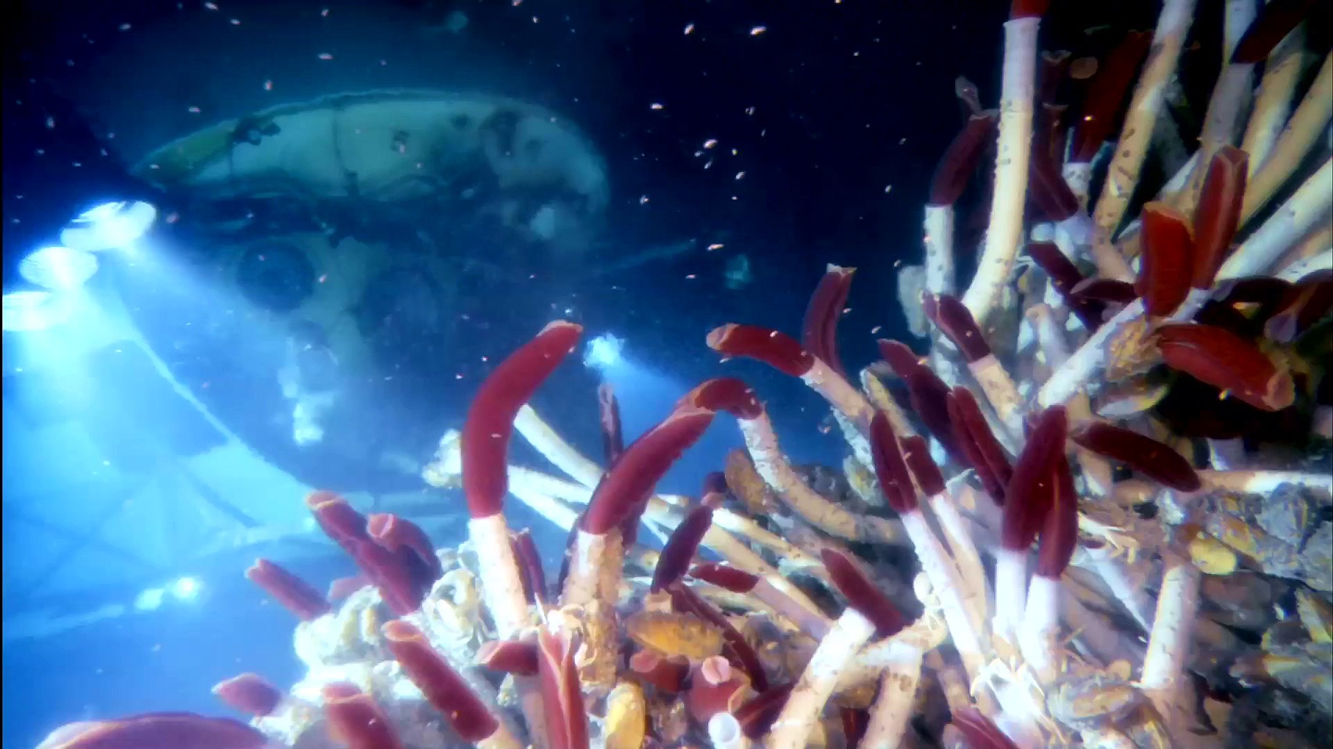 Aussi Profond Que L Océan Bande Annonce Vf DEEPSEA CHALLENGE 3D, L'AVENTURE D'UNE VIE - Bande-annonce - Vidéo  Dailymotion