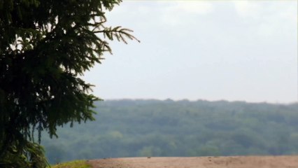 BLACK STORM - Bande-annonce