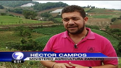 Productores de Zarcero controlan plagas con feromonas