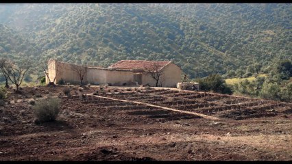 YEMA - Bande-annonce