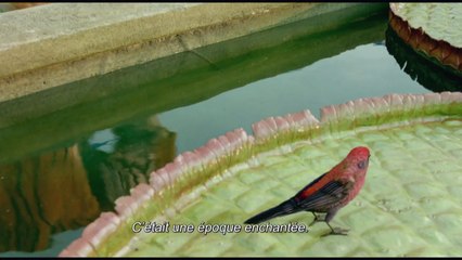 L'ODYSSÉE DE PI - Bande-annonce