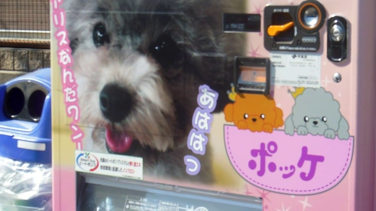 Puppy Vending Machine in Japan!