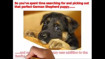 ***** How To Train A German Shepherd Puppy [ QUICKLY ] Potty Train A German Shepherd Puppy ;))