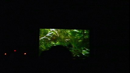 Clip from the screening of One Of Us Sidewalk Film Festival 2012