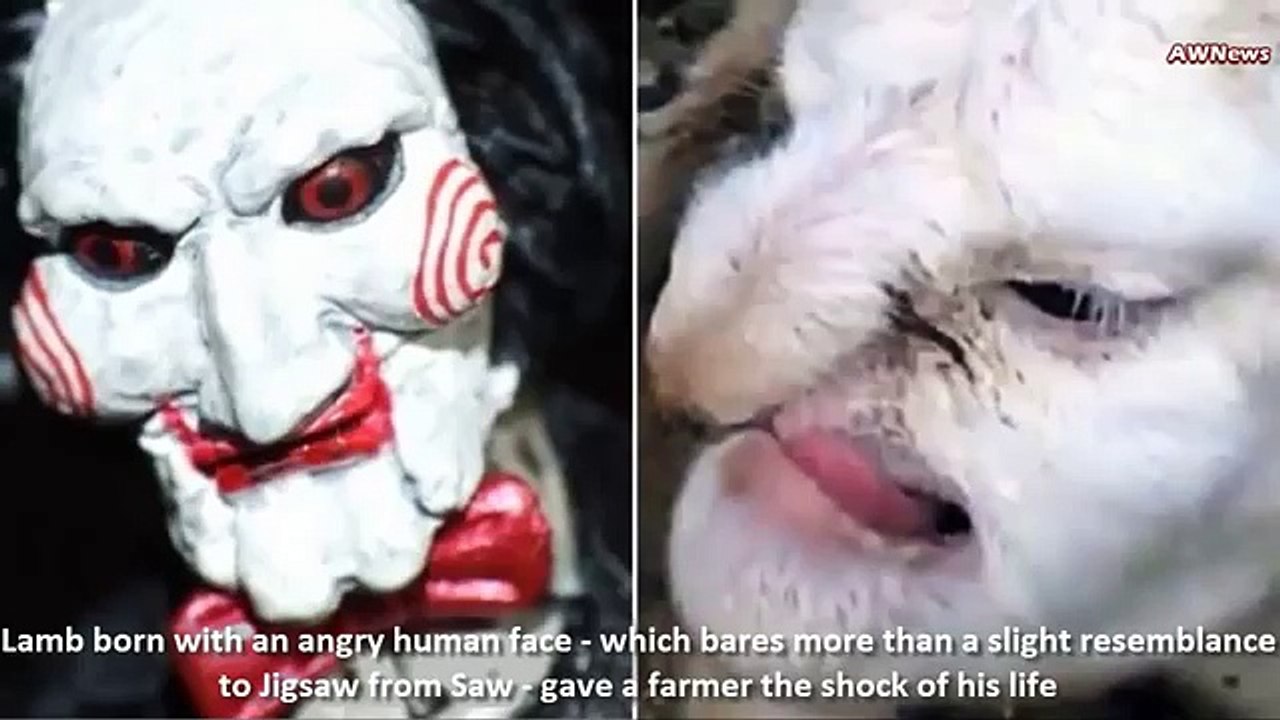 animal face like man