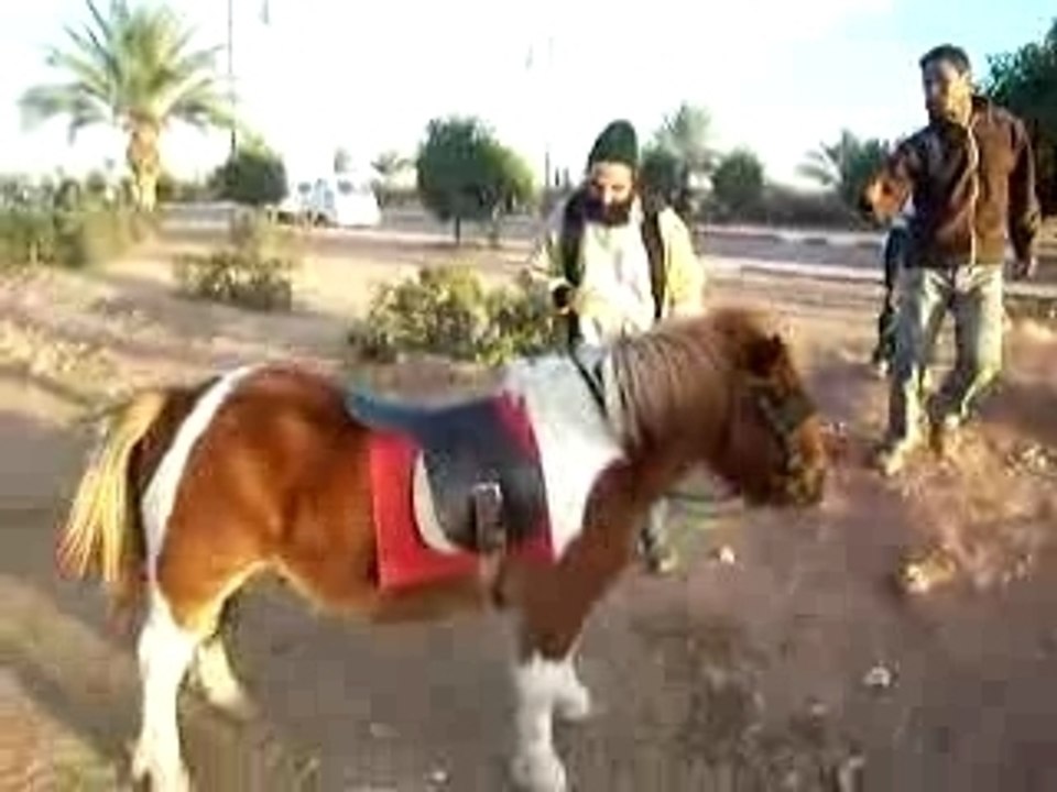 sexy Poney marrakech