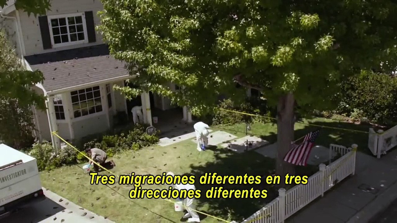 Los Elegidos - 2013