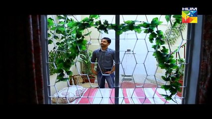 Sartaj Mera Tu Raj Mera Episode 22 Full HUM TV Drama March 31_ 2015 - YouTube