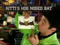 Beakman's World: All About Bats thumbnail