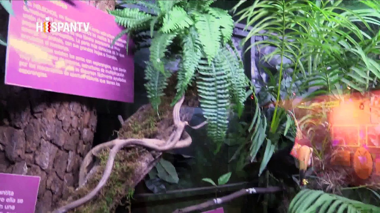 Somos UNO - Museos de ciencias naturales (Ciudad de México, La Habana, Buenos Aires, Bogotá y Caracas)