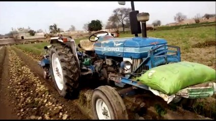 potato harvester