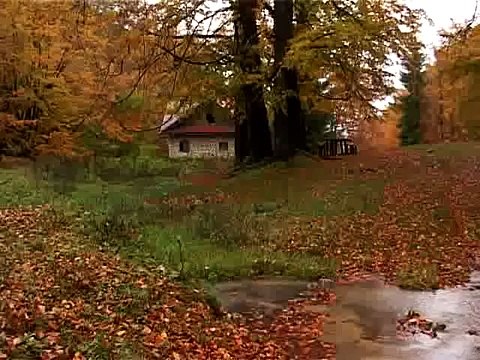 Srbija od srca Zagubica - Homolje 2